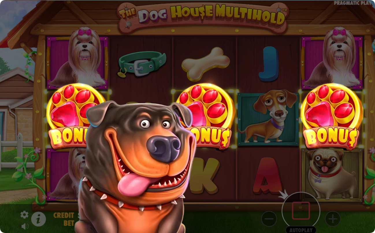 играть в Dog House